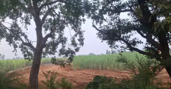 अवैध खनन का धंधा खुलेआम