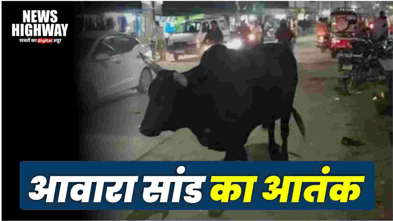 मवाना खुर्द में आवारा सांड का आतंक