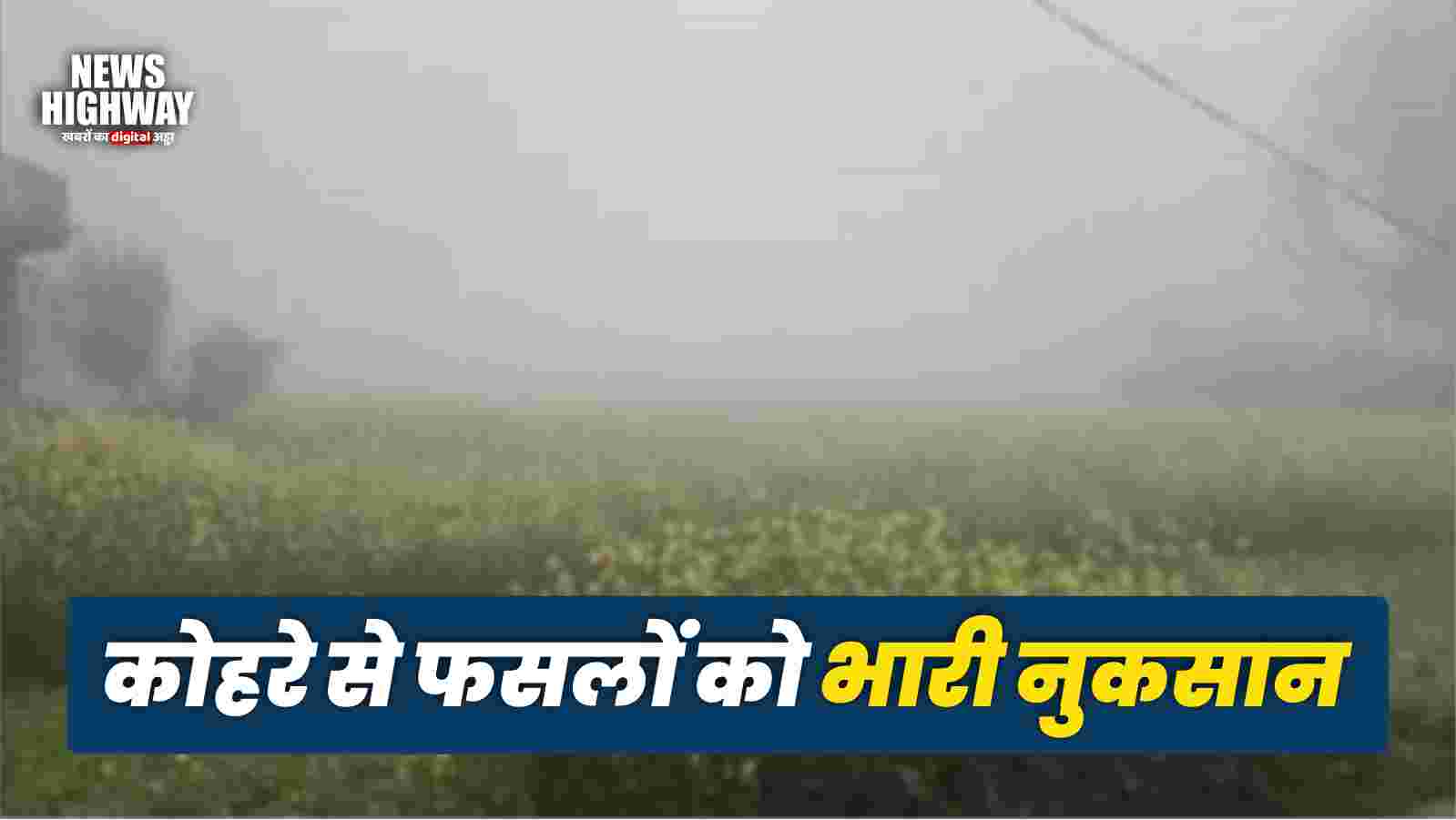 कड़ाके की ठंड व कोहरे से फसलों को भारी नुकसान