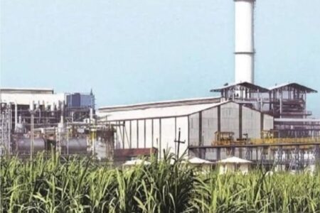 टिकौला शुगर मिल ने किया सत्र 2025–26 का गन्ना मूल्य भुगतान, 32 करोड़ से अधिक राशि किसानों के खातों में ट्रांसफर