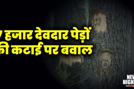 उत्तराखंड चारधाम परियोजना में 7 हजार देवदार पेड़ों की कटाई पर बवाल, RSS–BJP नेताओं ने जताया विरोध | Uttarakhand News