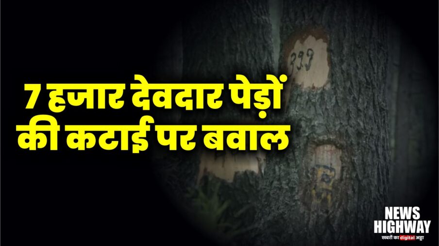 उत्तराखंड चारधाम परियोजना में 7 हजार देवदार पेड़ों की कटाई पर बवाल, RSS–BJP नेताओं ने जताया विरोध | Uttarakhand News