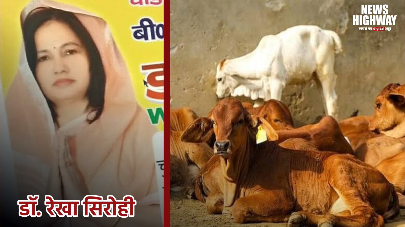 भारतीय गौ सेवा संघ महिला मोर्चा को मिला नया नेतृत्व, डॉ. रेखा सिरोही बनीं राष्ट्रीय अध्यक्ष