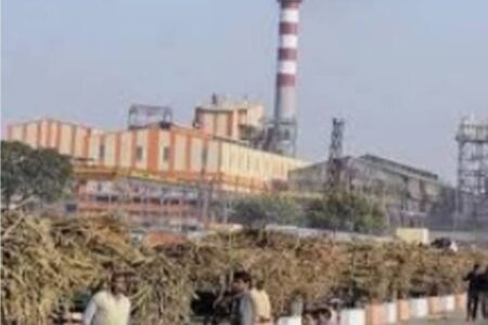 टिकोला शुगर मिल ने किसानों को दी बड़ी राहत, 14.72 करोड़ रुपये का गन्ना मूल्य भुगतान सीधे खातों में