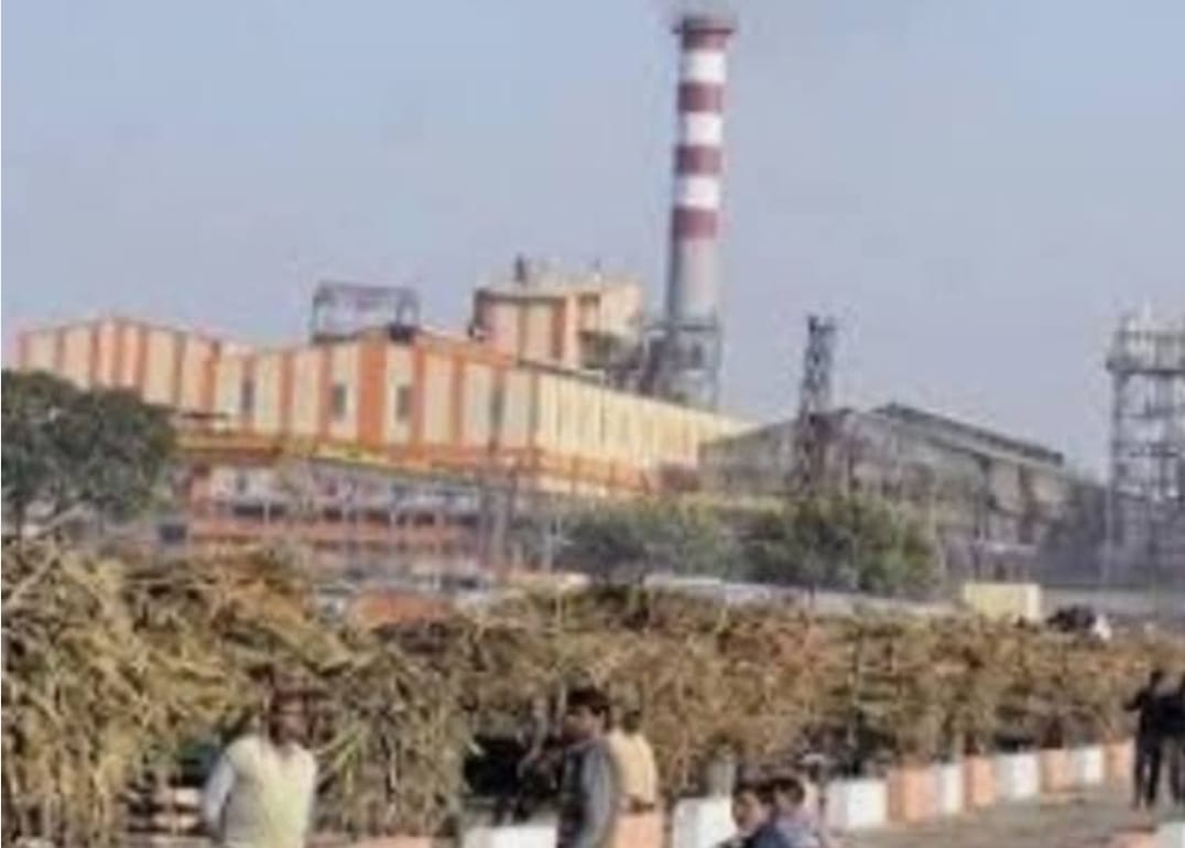 टिकोला शुगर मिल, रामराज – किसानों के खातों में 14.72 करोड़ रुपये का गन्ना मूल्य भुगतान होने से खुशी का माहौल।