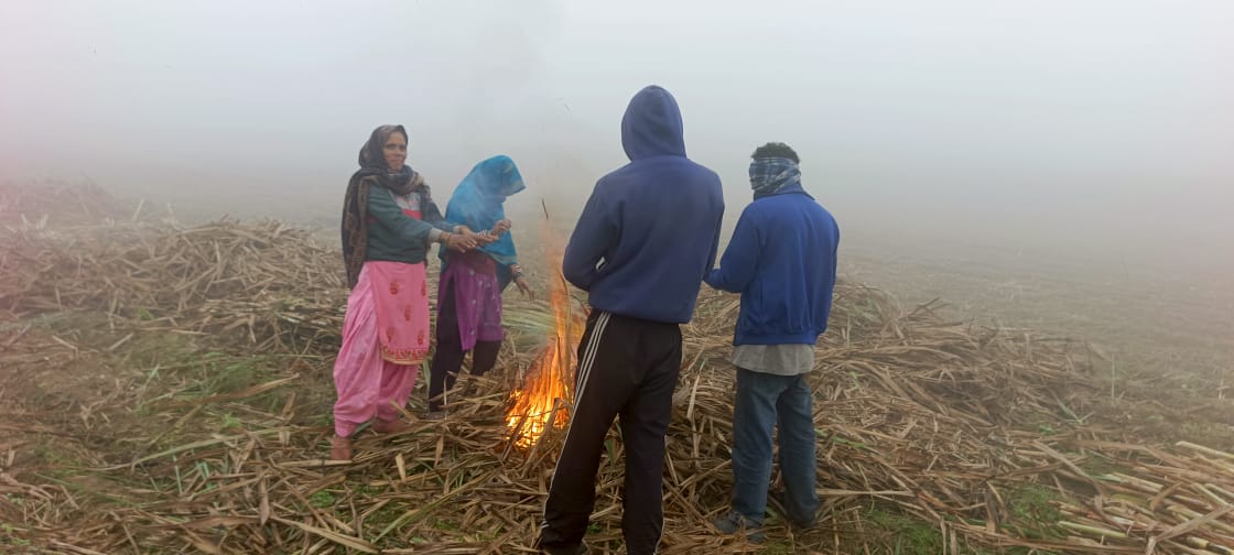 घने कोहरे और कड़ाके की ठंड से जनजीवन अस्त-व्यस्त, बढ़ीं लोगों की परेशानियां