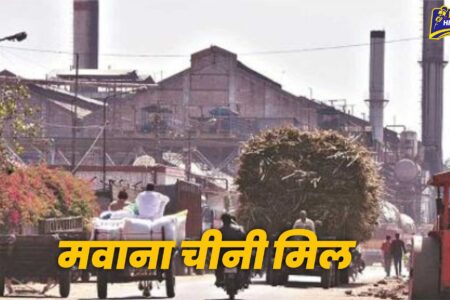 मवाना चीनी मिल ने किया 28.42 करोड़ का गन्ना भुगतान, अब तक 377.69 करोड़ रुपये किसानों को जारी