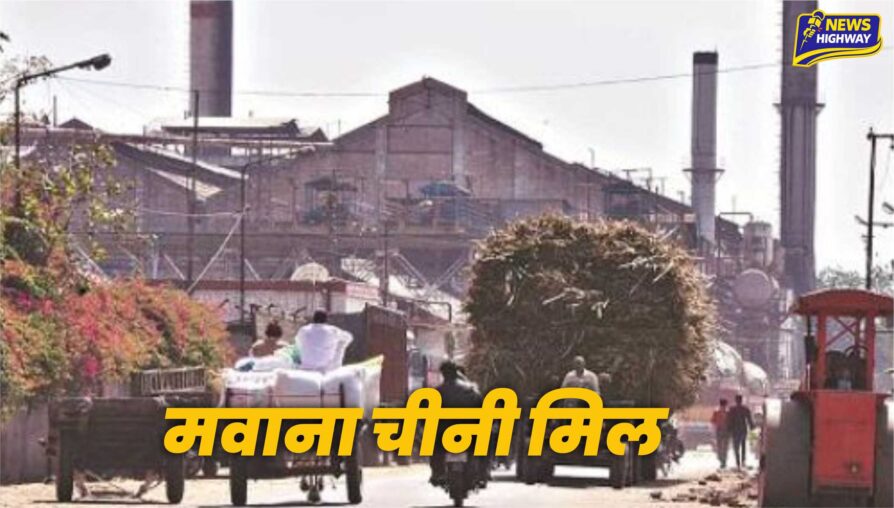 मवाना चीनी मिल ने किया 28.42 करोड़ का गन्ना भुगतान, अब तक 377.69 करोड़ रुपये किसानों को जारी