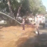 नए न्यायालय भवन के उद्घाटन से पहले चला विशेष सफाई अभियान