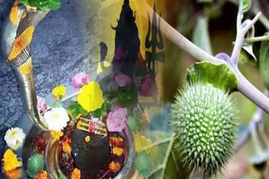 भगवान शिव को क्यों चढ़ाए जाते हैं भांग और धतूरा